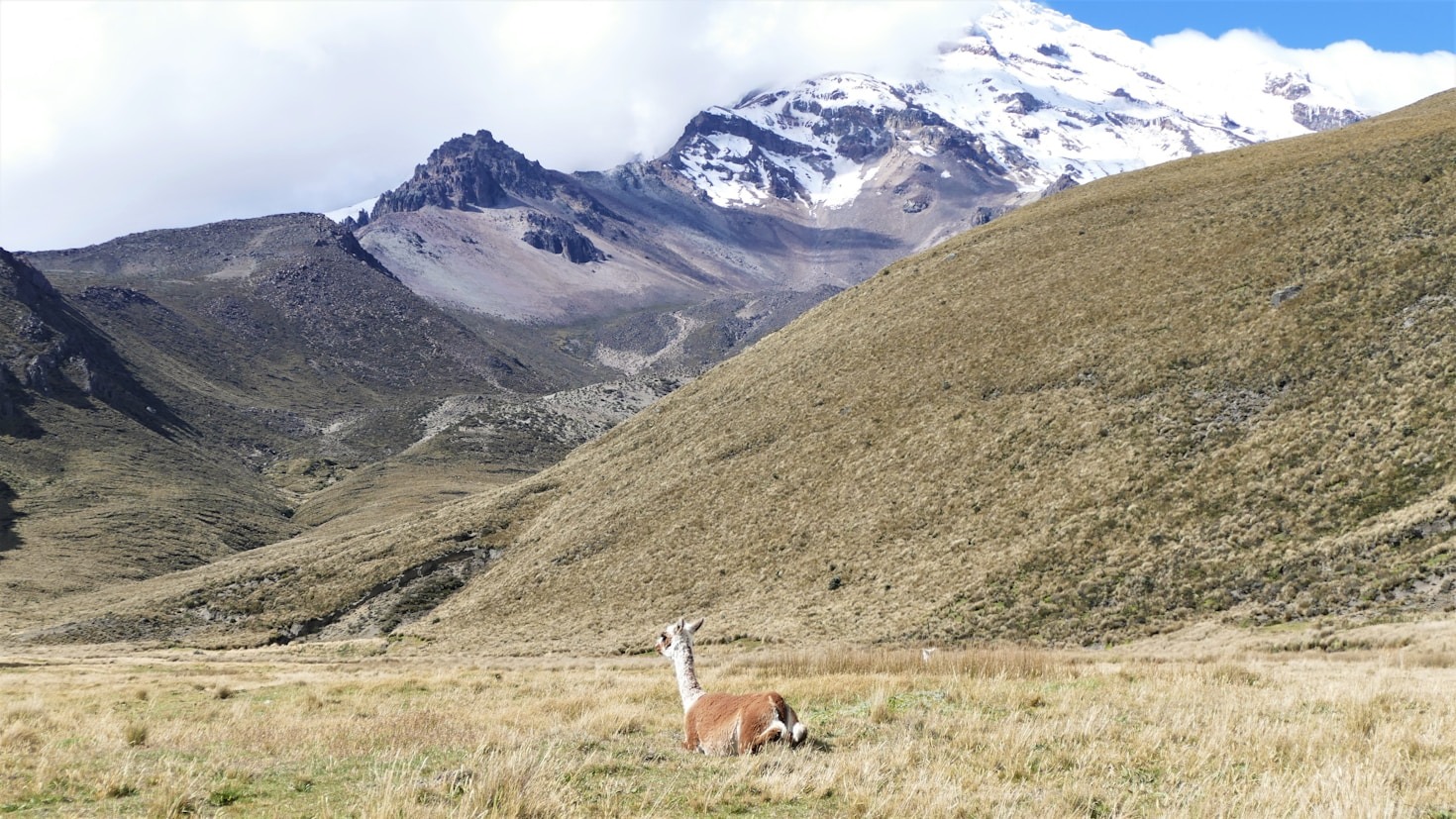Tours recomendados para explorar el Chimborazo
