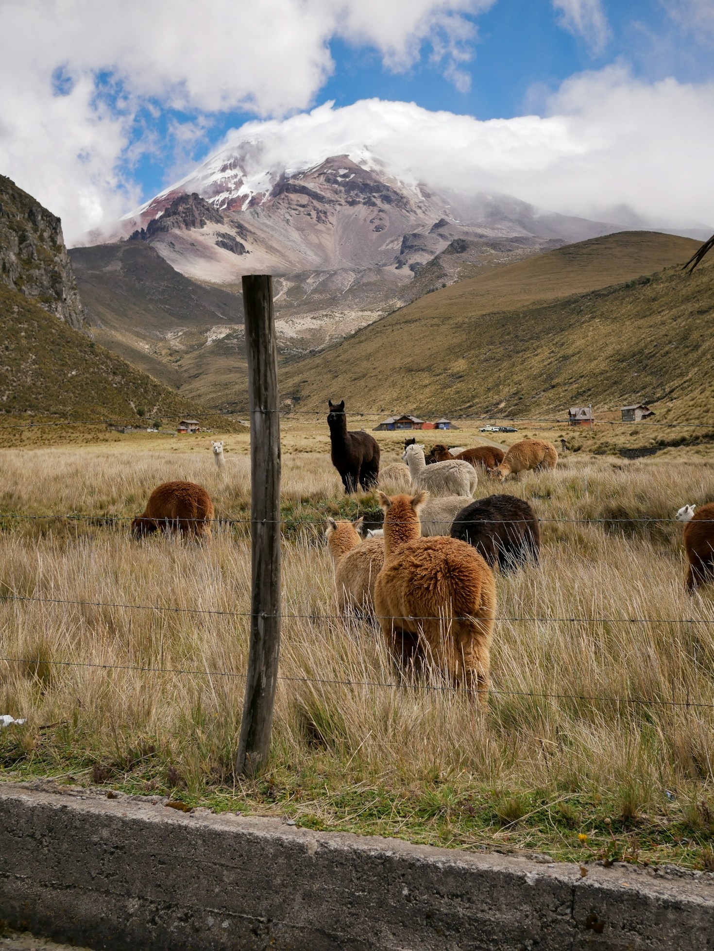 Cómo prepararse para visitar el Chimborazo